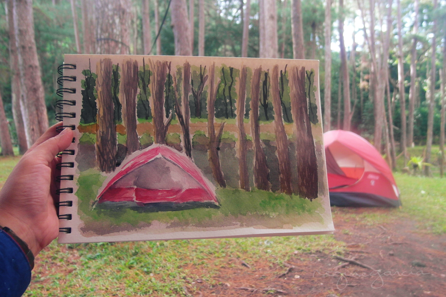 bucari campsite painting